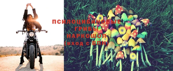ГАЛЛЮЦИНОГЕННЫЕ ГРИБЫ Алзамай