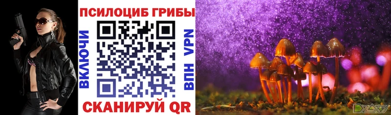 KRAKEN ссылки Советский Псилоцибиновые грибы Psilocybe